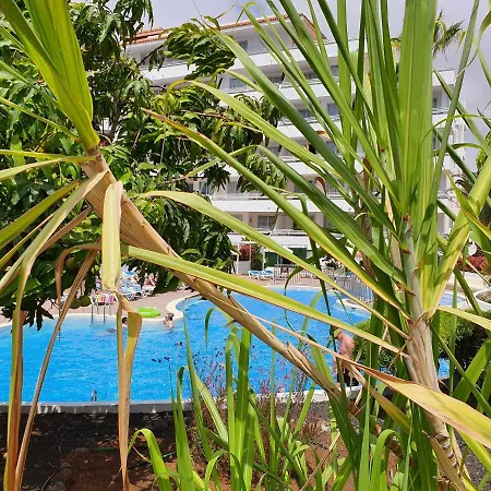 Apartment New! Spectacular 1 Bed Apartment In Las Americas, 5 Min To Camison Beach And Hard Rock Cafe, With Aircon
