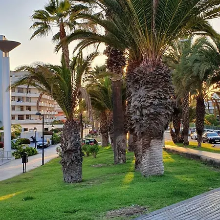 Apartment New! Spectacular 1 Bed In Americas, 5 Min To Camison And Hard Rock Cafe, With Aircon *