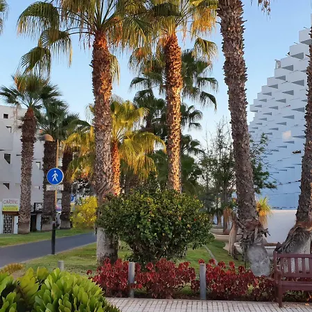Apartment New! Spectacular 1 Bed In Americas, 5 Min To Camison And Hard Rock Cafe, With Aircon *